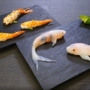 1.sushi koi